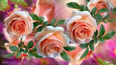 Музыка Сергей Чекалин! Безумно Красивая музыка для души! Трогательная до глубины души…музыка 2021 - Videoclip.bg