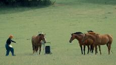 Taskmaster - Series 17 | Line Up Announcement - Videoclip.bg