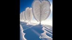 Ух ты... - Чудната природна красота - Videoclip.bg