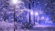 Елена Камбурова    -  "В сиреневых сумерках" - Videoclip.bg