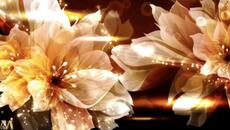 Още Един Хубав Ден - Videoclip.bg