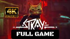 Stray Full Game Walkthrough Gameplay (No Commentary & Subtitles) 4K - Videoclip.bg