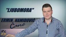 Ermin Hamidovic-Ljubomora_2016 - Videoclip.bg