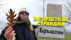 ДЕН за СНИМКИ в СЕЛО БРЪШЛЯН и ПЕТРОВА НИВА - Videoclip.bg