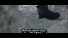 14. Възстановяване на колибата - Videoclip.bg