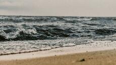 Adiós Nonino - Videoclip.bg