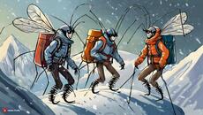 Три комара в планината.Весело Детско Стихче - Videoclip.bg