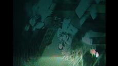 JOEYY, DEE AURA - SFOGLIATELLE KALYPSO48K REMIX - Videoclip.bg