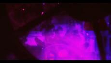 I Am... All of Me - covered by Crimzon Ruze 【歌ってみた】 - Videoclip.bg