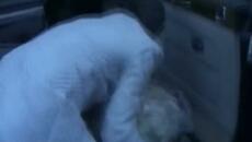 Missing Persons - Destination Unknown - Videoclip.bg