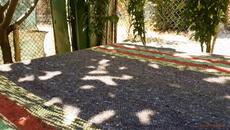 Една колекция, от едно отминало време - Цигарите от соца Е02 - Videoclip.bg