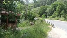 Антонски водопад - Videoclip.bg