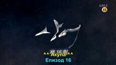 Акула (Shark 2013) E16 1/2 - Videoclip.bg