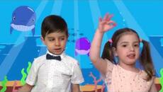 Вокална Група Мики Маус - "Бебе КИТ" - Videoclip.bg