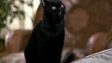 Sabrina, The Teenage Witch \ Сабрина, Младата Вещица Сезон 3 Епизод 4 БГ АУДИО - Videoclip.bg