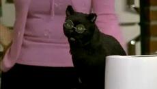 Sabrina, The Teenage Witch \ Сабрина, Младата Вещица Сезон 3 Епизод 18 БГ АУДИО - Videoclip.bg