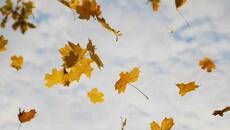 Камен Тодоров – „Сезоните на любовта“ (поезия) - Videoclip.bg