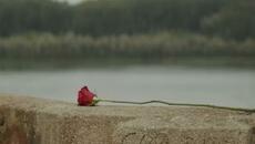 OLIVER KOSTIC - DA MI JE 2024 - Videoclip.bg