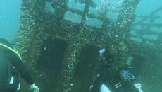 Изкуствен риф в Черно море стана дом на черноморските видове - Videoclip.bg