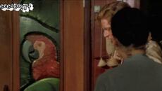 Πέγκυ Ζήνα - Το 'ξερα - знаех го - Videoclip.bg