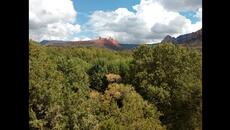 Special Gift - Videoclip.bg