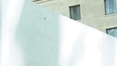 Fever Dream - Videoclip.bg