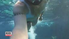 Couple Drowns While Snorkeling on Hawaiian Vacation - Videoclip.bg