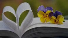 Камелия Тодорова - Теменуги - Videoclip.bg