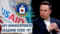 ☣️ЦРУ пуснало КОВИД19! Илон Маск об участии USAID и ЦРУ в финансировании исследований в лаборатории в Ухане - Videoclip.bg