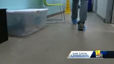 BARCS asks people to foster amid illness - Videoclip.bg