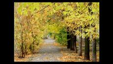 ТИ СИ МОЯ ЛИСТОПАД - АНТОАН АНТОНОВ МУЗИКА АРАНЖИМЕНТ И ПЕСЕН - Poetry As Song