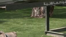 Israeli army displays weapons it says were seized from Hamas since Oct 7 - Videoclip.bg