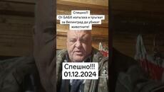 Чумата по овцете и БАБХ, бухалката на ГЕРБ - Стадото овце от Велинград Събудете се! - Videoclip.bg