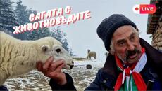 Тази вечер хората продължават да подкрепят животновъдите - Videoclip.bg