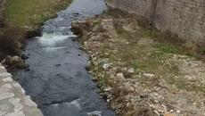 Драгор Битола 12.02.2025 - Videoclip.bg