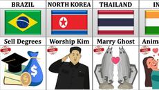 You Won’t Believe These Crazy Laws Are Actually Legal! - Videoclip.bg