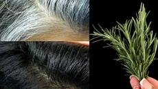 Beyaz saçlar siyaha döner. Saç dökülmesi durur. Yıpranmış saçlar canlanır - Videoclip.bg