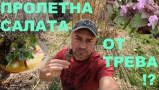 ПРОЛЕТНА САЛАТА ОТ ТРЕВА SPRING SALAD FROM GRASS - Videoclip.bg