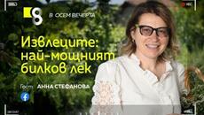 Извлеците: най-мощният билков лек | с Анна Стефанова - Videoclip.bg