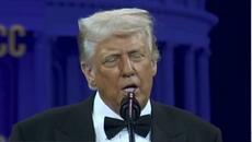 ПРОСТИТУТКИТЕ на НОВИЯ СВЕТОВЕН РЕД - УМИРАТ - Videoclip.bg