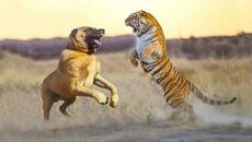 Может ли Кангал Победить Тигра, Льва или Ягуара в Бою Один На Один?! - Videoclip.bg