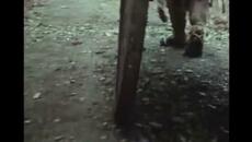 ZATOICHI The Blind Swordsman Season 1  Episode 16 - Videoclip.bg