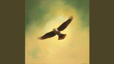 System Shift - Videoclip.bg