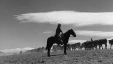 Сурова кожа (Rawhide) S01 E05 - Videoclip.bg