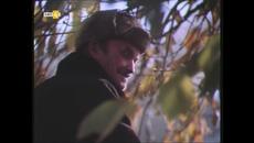Черешова градина (1979) - Videoclip.bg