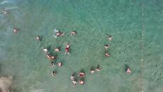 минус  един - Videoclip.bg