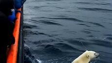 Спасителна операция в Арктика - Videoclip.bg