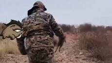 свински истории - Videoclip.bg