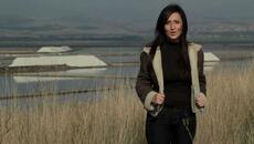 Мери Бойс Бенд – Ще успея ли някога да надбягам птиците - Videoclip.bg