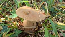 Манатарки на 1 ноември край морето - Videoclip.bg